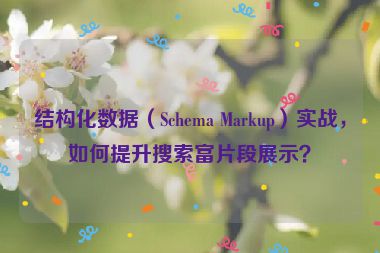 結(jié)構(gòu)化數(shù)據(jù)（Schema Markup）實戰(zhàn)，如何提升搜索富片段展示？