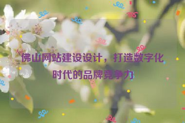 佛山網(wǎng)站建設(shè)設(shè)計(jì)，打造數(shù)字化時(shí)代的品牌競(jìng)爭(zhēng)力