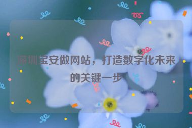 深圳寶安做網(wǎng)站，打造數(shù)字化未來(lái)的關(guān)鍵一步