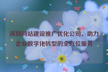 深圳網(wǎng)站建設(shè)推廣優(yōu)化公司，助力企業(yè)數(shù)字化轉(zhuǎn)型的全方位服務(wù)