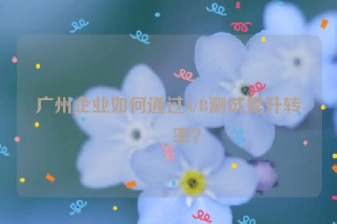 廣州企業(yè)如何通過A/B測試提升轉(zhuǎn)化率？