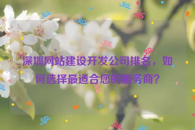 深圳網(wǎng)站建設(shè)開(kāi)發(fā)公司排名，如何選擇最適合您的服務(wù)商？