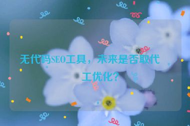 無代碼SEO工具，未來是否取代人工優(yōu)化？