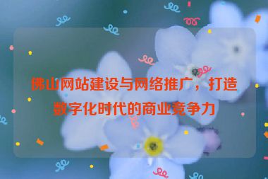佛山網(wǎng)站建設(shè)與網(wǎng)絡(luò)推廣，打造數(shù)字化時代的商業(yè)競爭力