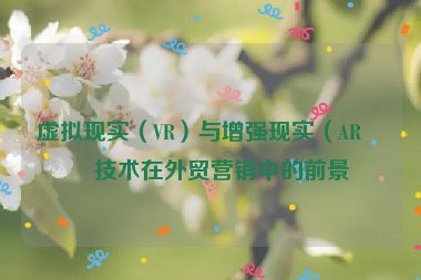 虛擬現(xiàn)實(shí)（VR）與增強(qiáng)現(xiàn)實(shí)（AR）技術(shù)在外貿(mào)營(yíng)銷中的前景