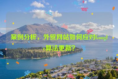 案例分析，外貿(mào)網(wǎng)站如何應(yīng)對(duì)Google算法更新？
