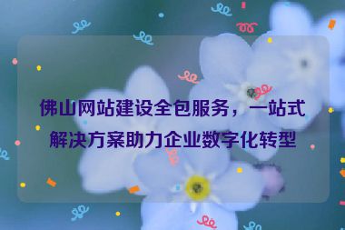 佛山網(wǎng)站建設(shè)全包服務(wù)，一站式解決方案助力企業(yè)數(shù)字化轉(zhuǎn)型