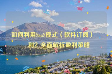 如何利用SaaS模式（軟件訂閱）盈利？全面解析盈利策略