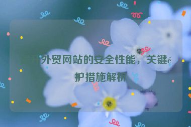 提升外貿(mào)網(wǎng)站的安全性能，關(guān)鍵防護(hù)措施解析