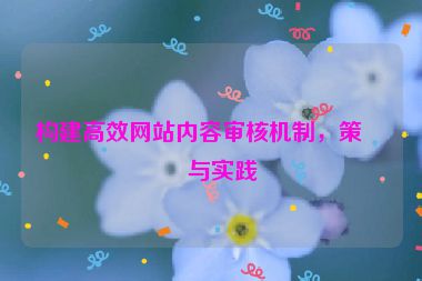 構(gòu)建高效網(wǎng)站內(nèi)容審核機制，策略與實踐