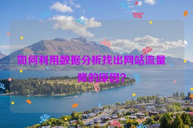 如何利用數(shù)據(jù)分析找出網(wǎng)站流量下降的原因？