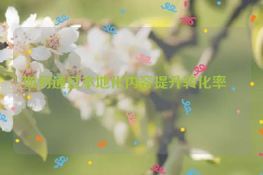如何通過本地化內(nèi)容提升轉(zhuǎn)化率？
