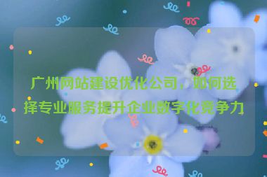 廣州網(wǎng)站建設(shè)優(yōu)化公司，如何選擇專業(yè)服務(wù)提升企業(yè)數(shù)字化競(jìng)爭(zhēng)力
