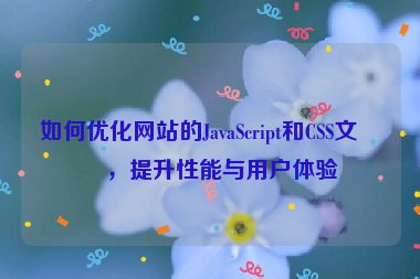 如何優(yōu)化網(wǎng)站的JavaScript和CSS文件，提升性能與用戶體驗