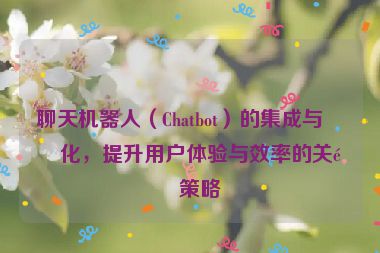 聊天機器人（Chatbot）的集成與優(yōu)化，提升用戶體驗與效率的關(guān)鍵策略