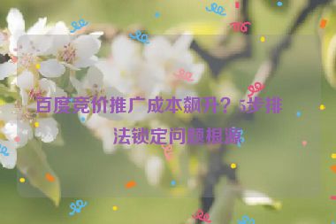 百度競價推廣成本飆升？5步排查法鎖定問題根源