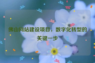 佛山網(wǎng)站建設(shè)項(xiàng)目，數(shù)字化轉(zhuǎn)型的關(guān)鍵一步
