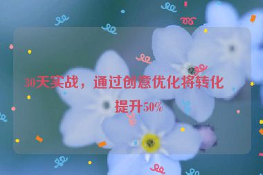 30天實戰(zhàn)，通過創(chuàng)意優(yōu)化將轉(zhuǎn)化率提升50%