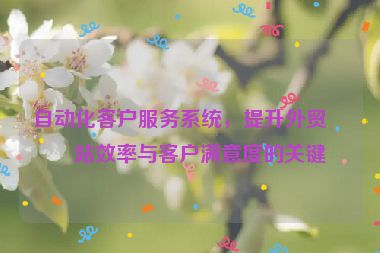 自動化客戶服務(wù)系統(tǒng)，提升外貿(mào)網(wǎng)站效率與客戶滿意度的關(guān)鍵