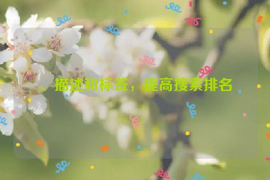 、描述和標(biāo)簽，提高搜索排名
