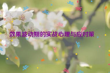 效果波動期的實戰(zhàn)心理與應(yīng)對策略