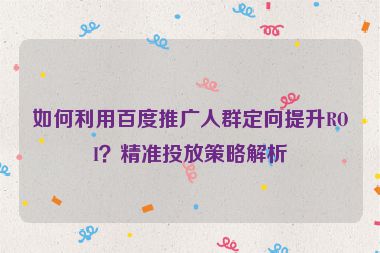 如何利用百度推廣人群定向提升ROI？精準投放策略解析