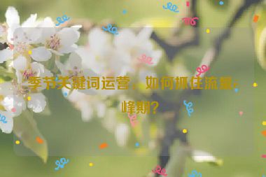 季節(jié)關(guān)鍵詞運(yùn)營(yíng)，如何抓住流量高峰期？