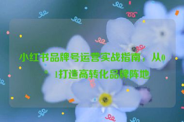小紅書品牌號運營實戰(zhàn)指南，從0到1打造高轉化品牌陣地