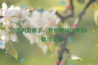 動態(tài)內(nèi)容展示，外貿(mào)網(wǎng)站技術(shù)的革新與優(yōu)化