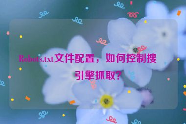 Robots.txt文件配置，如何控制搜索引擎抓??？