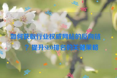如何獲取行業(yè)權(quán)威網(wǎng)站的反向鏈接？提升SEO排名的關(guān)鍵策略