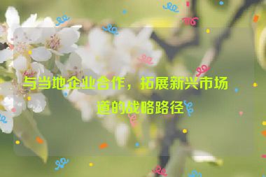 與當(dāng)?shù)仄髽I(yè)合作，拓展新興市場(chǎng)渠道的戰(zhàn)略路徑