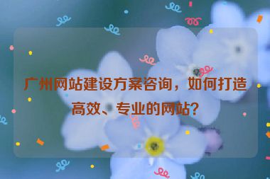 廣州網(wǎng)站建設(shè)方案咨詢，如何打造高效、專業(yè)的網(wǎng)站？
