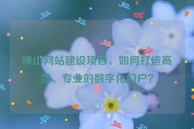 佛山網(wǎng)站建設(shè)項目，如何打造高效、專業(yè)的數(shù)字化門戶？